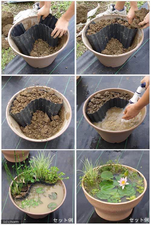 créer un mini bassin de jardin
