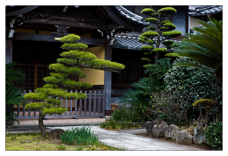 Jardin zen avec pin taillé Niwaki ©YoAndMi- Flickr (Creative Commons)