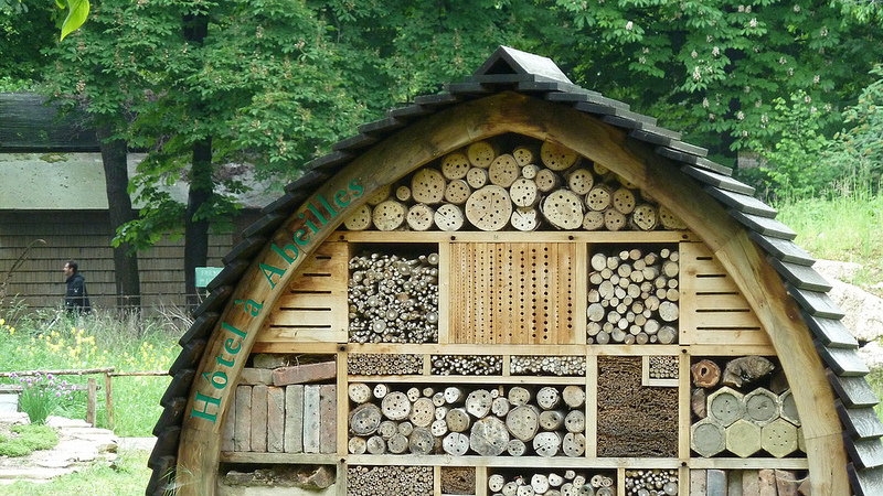 Fabriquer un hôtel à insectes dans son jardin