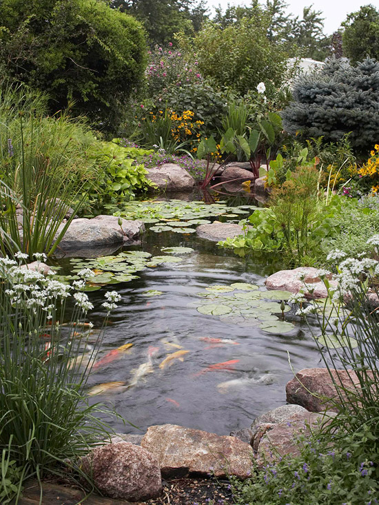 4 questions à vous poser avant de créer un bassin dans votre jardin