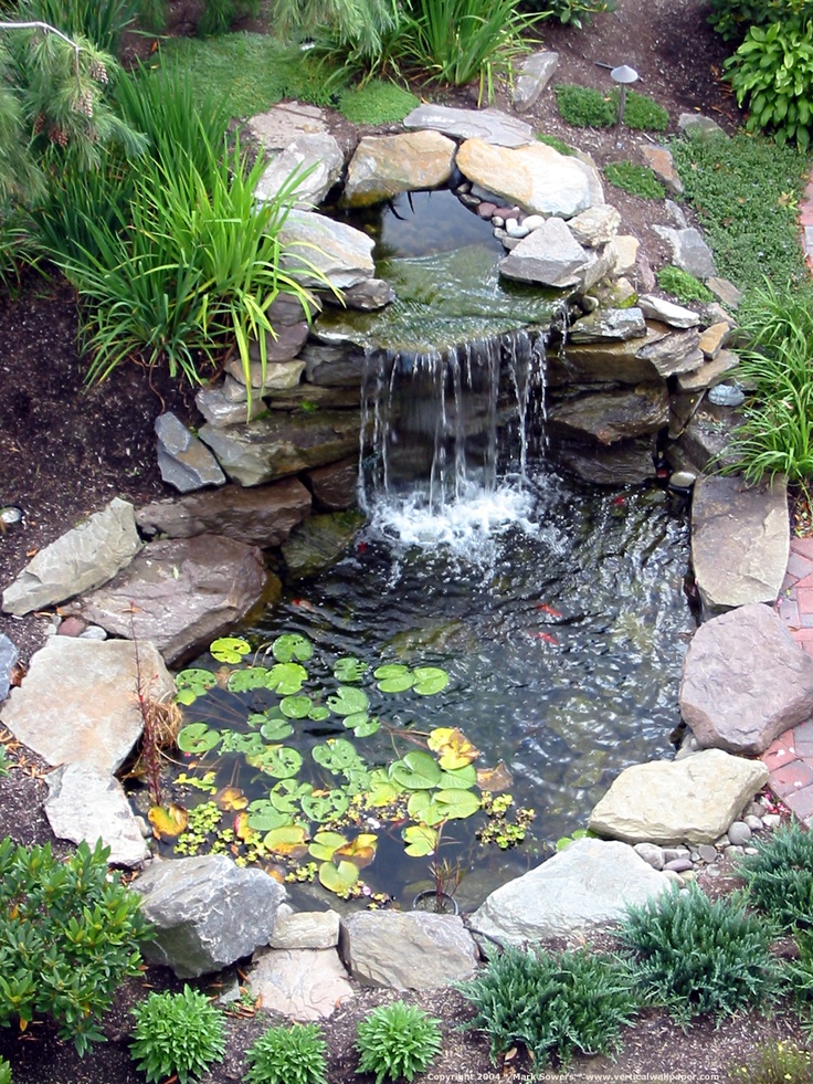 4 styles de bassins à copier dans votre jardin