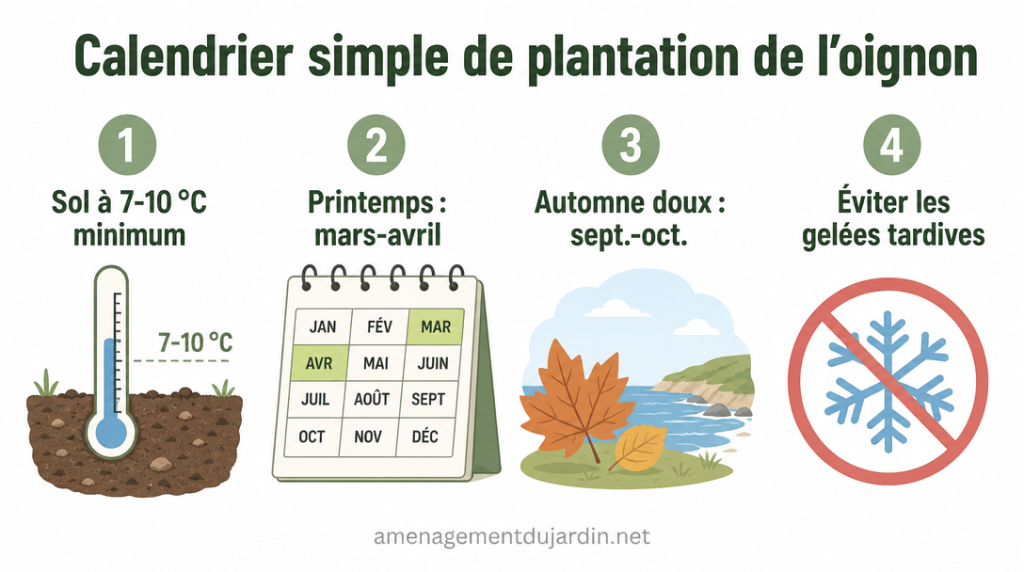 Calendrier visuel avec 4 repères pour planter les oignons
