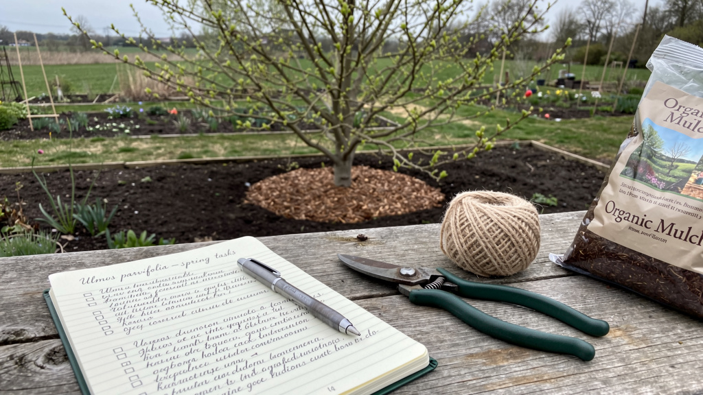 Carnet de jardin avec liste près d’un jeune orme de Chine