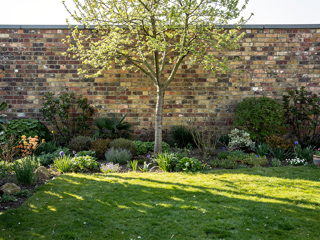 Zones de soleil et d'ombre cartographiées dans un jardin privé