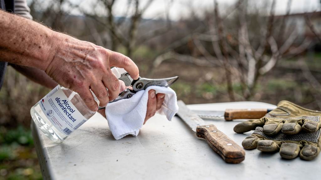 Mains désinfectant un sécateur sur table de jardin