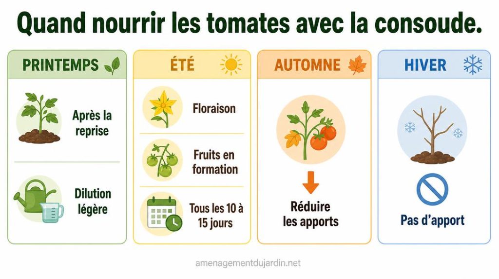 Calendrier saisonnier des apports de consoude aux tomates