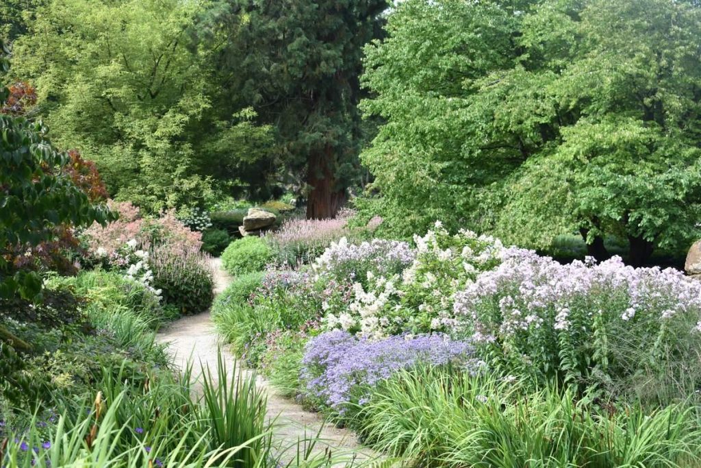 Massif de vivaces et d'arbustes en fleurs bordant un chemin dans un jardin