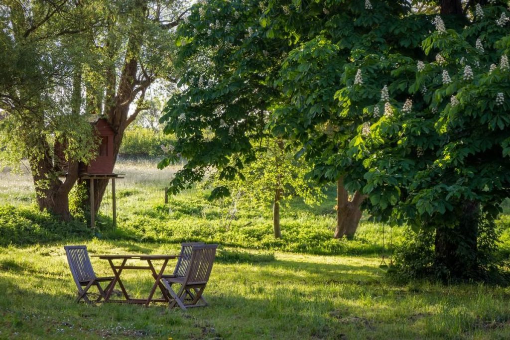 Coin détente avec une table et des chaises en bois à l'ombre des arbres, sur une pelouse